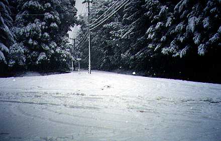 Pine Flat Road, 8:00 AM February 12, 2001