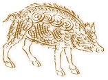 Image of noble porcine