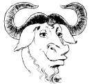 Link to Gnu on VM