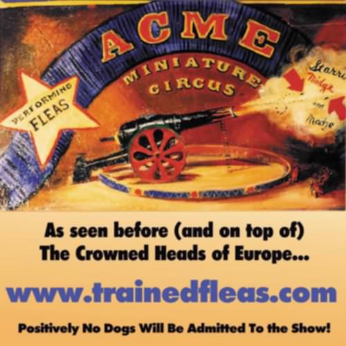 -- 
The flea circus! --