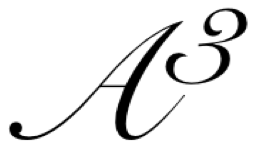 a3 logo
