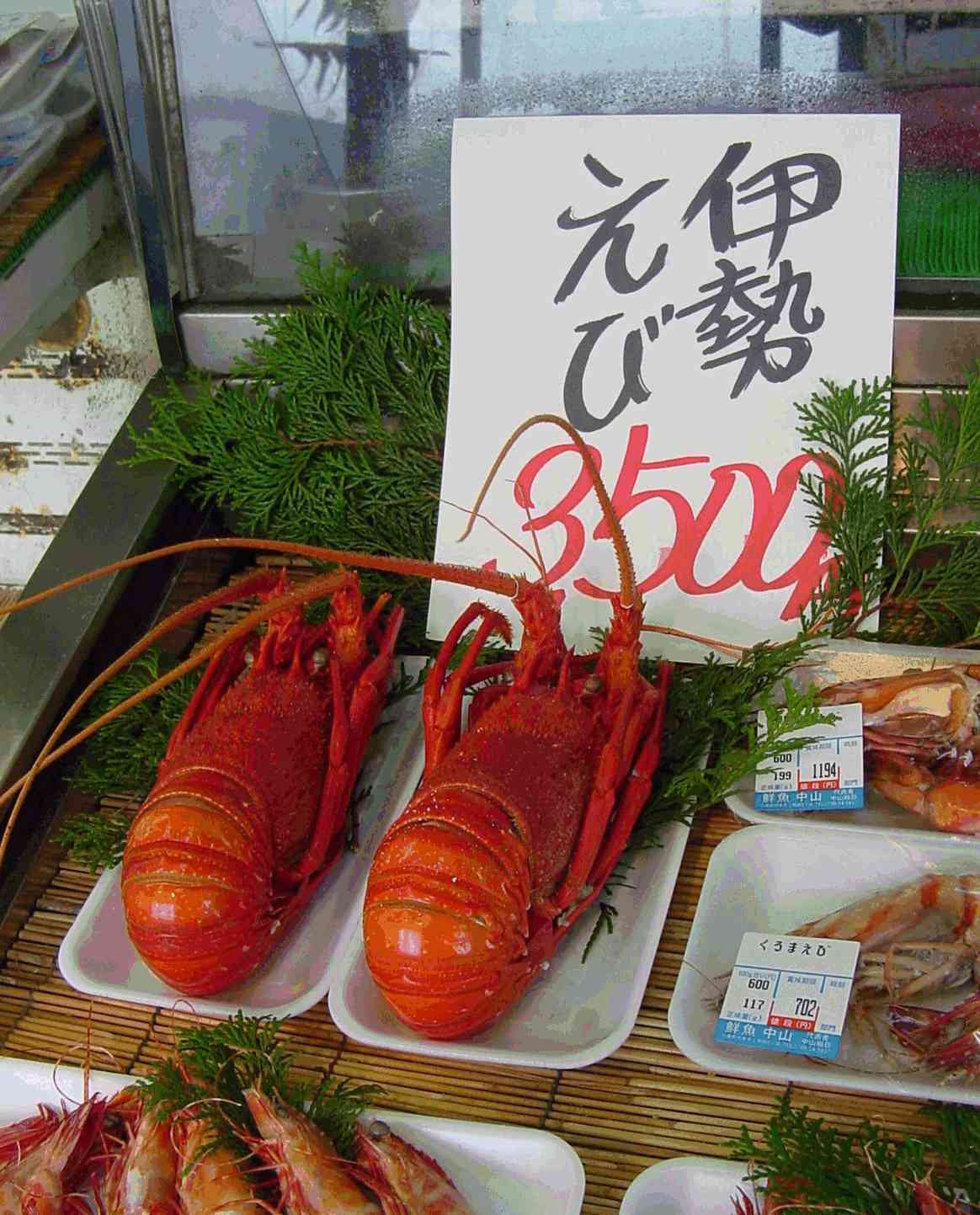 Special lobsters. 05dec30.