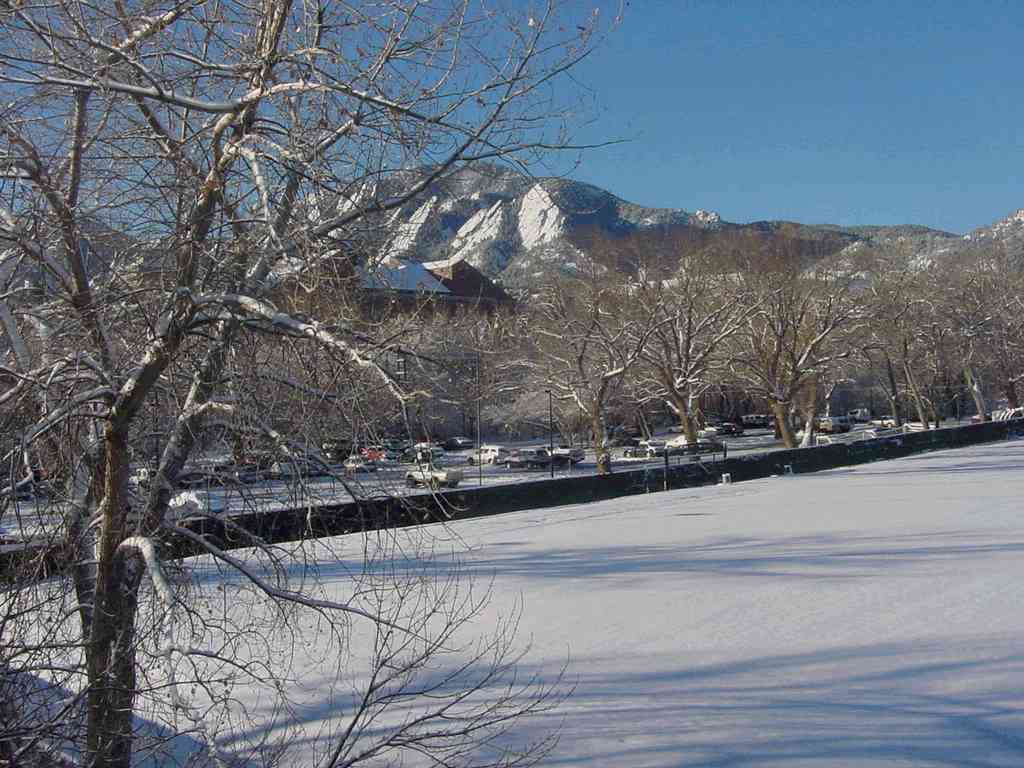 My winter view. December 10, 2003.