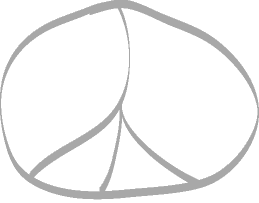 Peace sign
