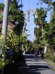 Ubud Street