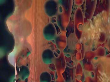 clrfeedback+lightsback.006