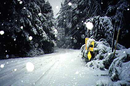 Empire Grade Road, 8:00 AM February 12, 2001