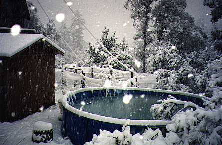 No time for swimming