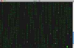 Enter The Matrix! a picture of a command line interface