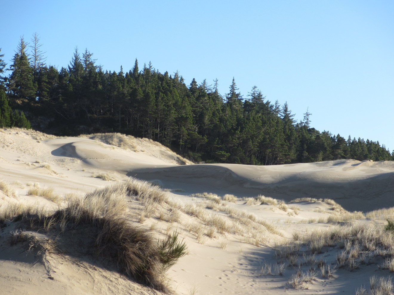 Dunes