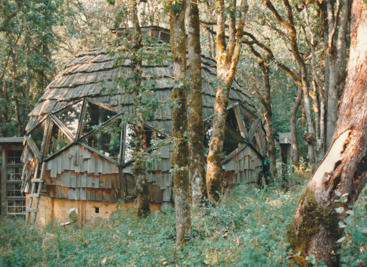 old dome
                      1984