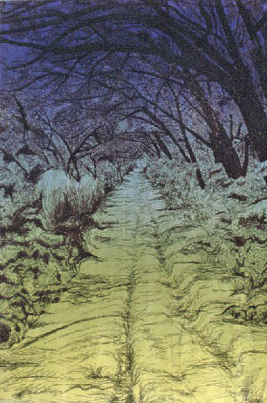 Northville Lake, Michigan, Etching