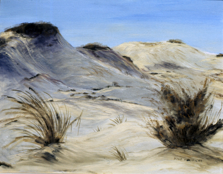 Sand Dunes