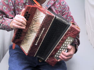 Garmoshka playing view