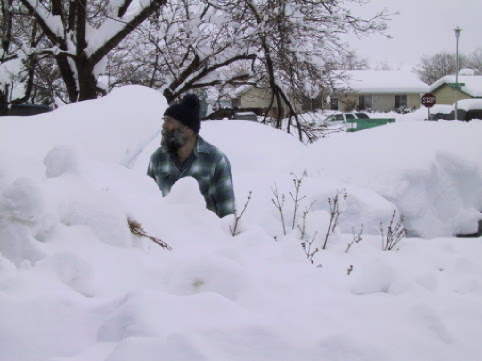 The Gooseherd deep in thought