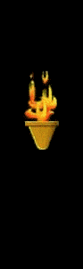 Torch