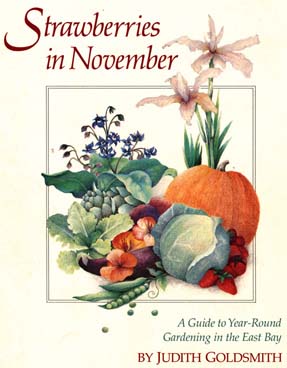 Strawberries in November