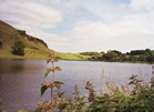 looking at Lough Gur from the trail back toward the visitor's center