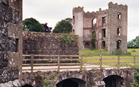 looking across from one section of ruins toward another section